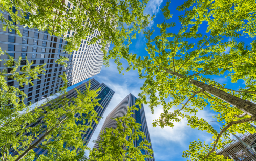 Urban climate Trees and city buildings