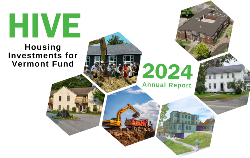 HIVE 2024 Annual Report Cover page of HIVE annual report