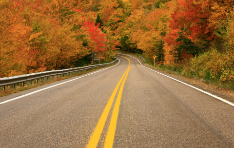 Fall road Fall road