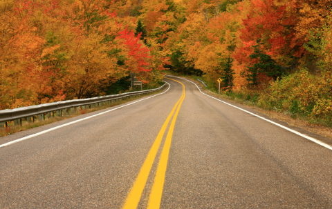 Fall road