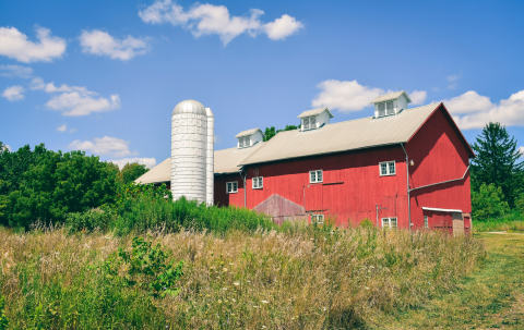 Picture of barn